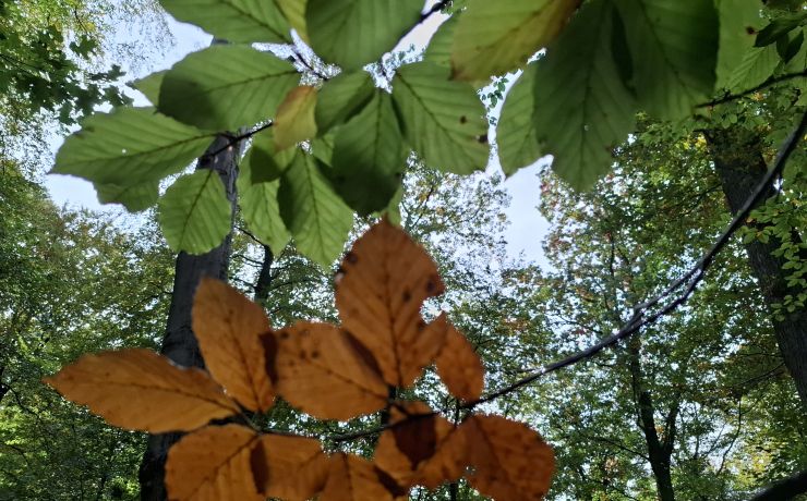 De R is in de maand; een paar vitale Herfst-tips