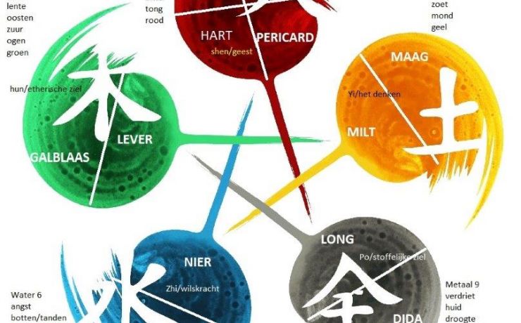 Wekelijkse lessen Medical Qigong
