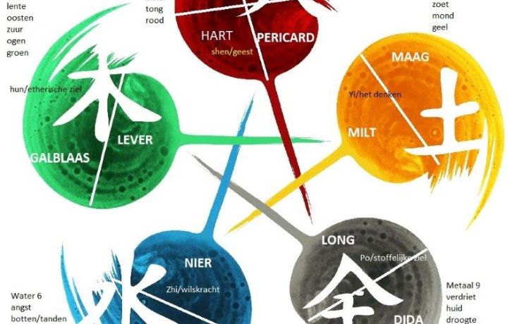 Reguleer jouw Vuur; de psychosomatische kracht van acupunctuurpunten