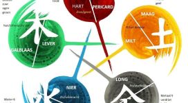 Hoe acupunctuur je helpt in de verbinding met je Hart