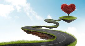 Vernieuwd Tao Coachtraject; de weg van Self-Mastery