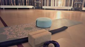 Myofascia Yoga; Je Fascia Matrix als toegangspoort voor vitaliteit van Body-Mind-Soul